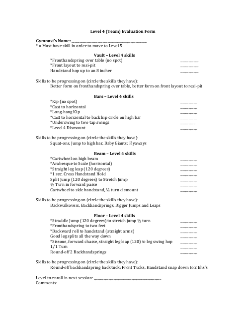 Level 4 (Team) Evaluation Form