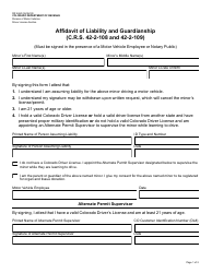Form DR2460 Affidavit of Liability and Guardianship - Colorado