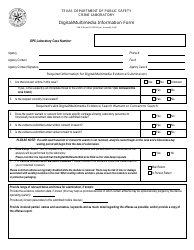 Document preview: Form LAB-210 Digital/Multimedia Information Form - Texas