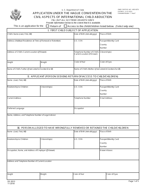 Form DS-3013  Printable Pdf