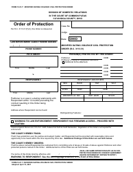 Form 10.01-T Modified Dating Violence Civil Protection Order - Cuyahoga County, Ohio