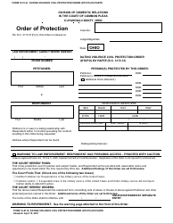 Form 10.01-Q Dating Violence Civil Protection Order (Dtcpo) Ex Parte - Cuyahoga County, Ohio