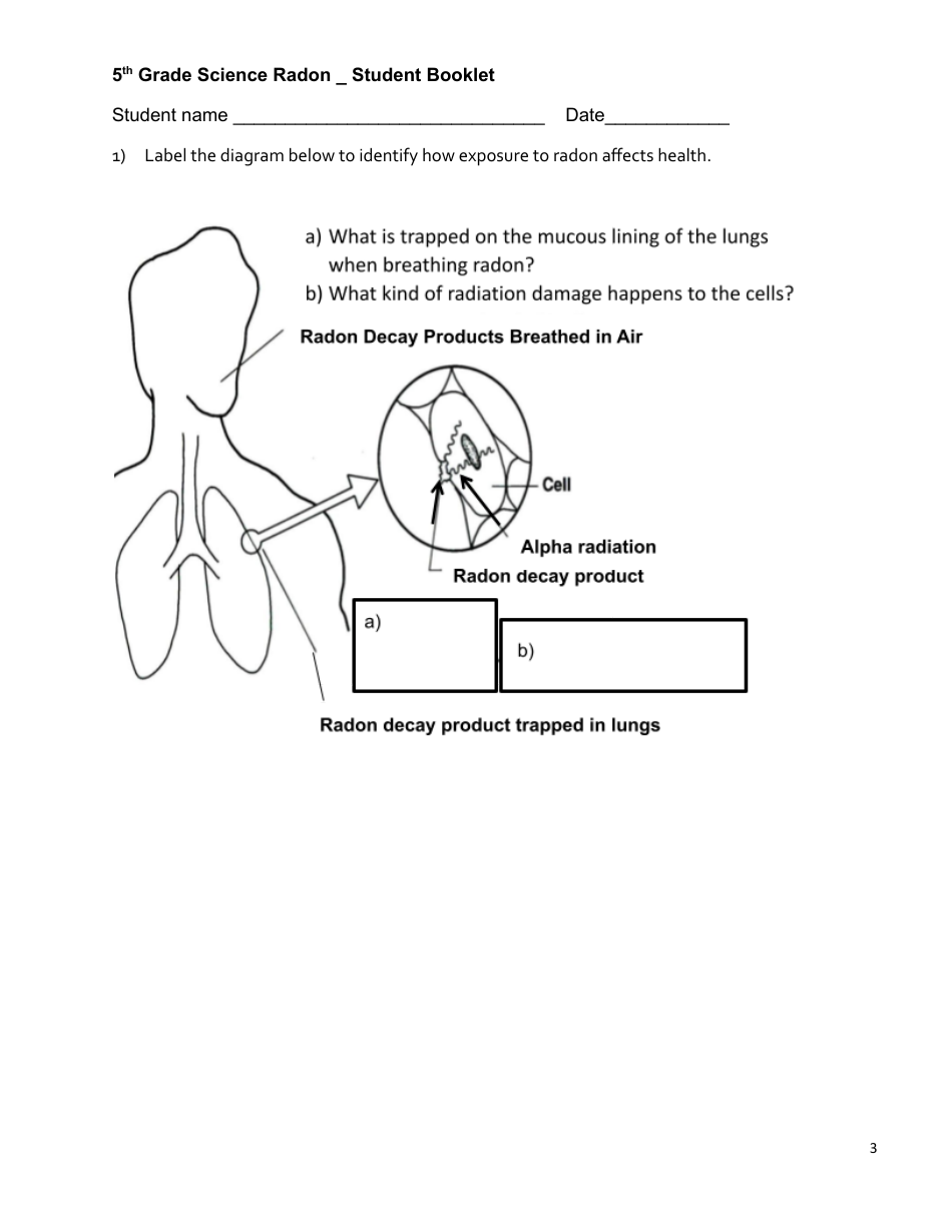 5th Grade Science Radon Student Booklet - New Hampshire, Page 3
