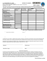 Document preview: Form LS-513 Report of Payments