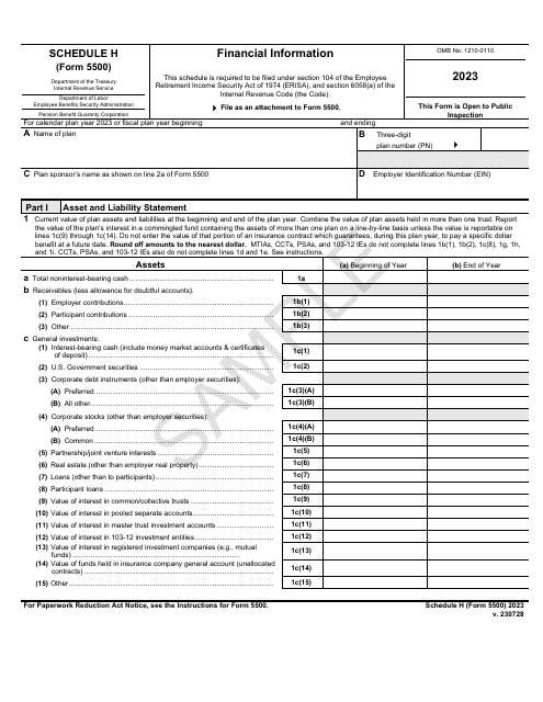 Form 5500 Schedule H Financial Information - Sample, 2023