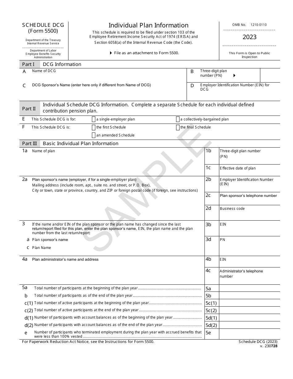 Form 5500 Schedule DCG Individual Plan Information - Sample, Page 1