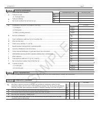 Form 5500 Schedule DCG Individual Plan Information - Sample, Page 2