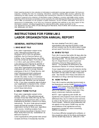 Instructions for Form LM-3 Labor Organization Annual Report