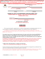 Form 9-102.6 (CC-DR-104BLF) Consent of Child to an Independent Adoption - Maryland (English/French)