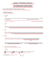 Form 9-102.3 (CC-DR-101BLF) Consent of Parent to an Independent Adoption With Termination of Parental Rights - Maryland (English/French), Page 7