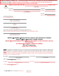 Document preview: Form CC-DR-124BLS Minor's Consent/Objection to Judicial Declaration of Gender Identity With/Without a Name Change - Maryland (English/Spanish)