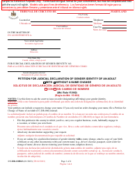 Document preview: Form CC-DR-120BLS Petition for Judicial Declaration of Gender Identity of an Adult With/Without a Name Change - Maryland (English/Spanish)