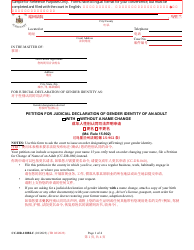 Document preview: Form CC-DR-120BLC Petition for Judicial Declaration of Gender Identity of an Adult With/Without a Name Change - Maryland (English/Chinese)