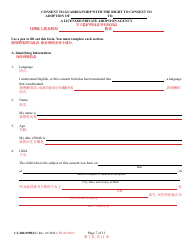 Form CC-DR-099BLC Consent of Parent to a Private Agency Guardianship - Maryland (English/Chinese), Page 7