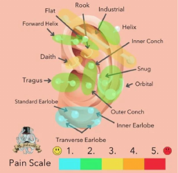 Document preview: Piercing Pain Chart - Pink