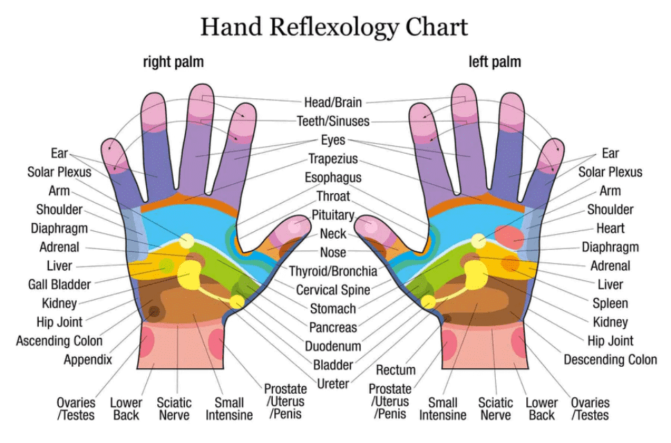 Hand Pain Chart - Reflexology Download Pdf