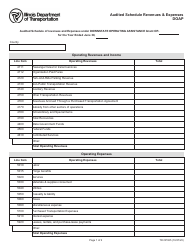 Form TR OP025 Audited Schedule Revenues &amp; Expenses - Doap - Illinois