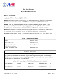 Document preview: Form AID463-4 Foreign Service Promotion Input Form
