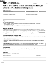 Form DHS-4931-ENG Unreimbursed and/or Uninsured Medical/Dental Expenses Packet - Minnesota, Page 9