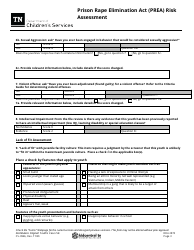 Form CS-0946 Prison Rape Elimination Act (Prea) Risk Assessment - Tennessee, Page 3