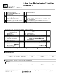 Form CS-0946 Prison Rape Elimination Act (Prea) Risk Assessment - Tennessee, Page 4