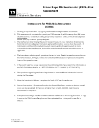 Form CS-0946 Prison Rape Elimination Act (Prea) Risk Assessment - Tennessee, Page 5