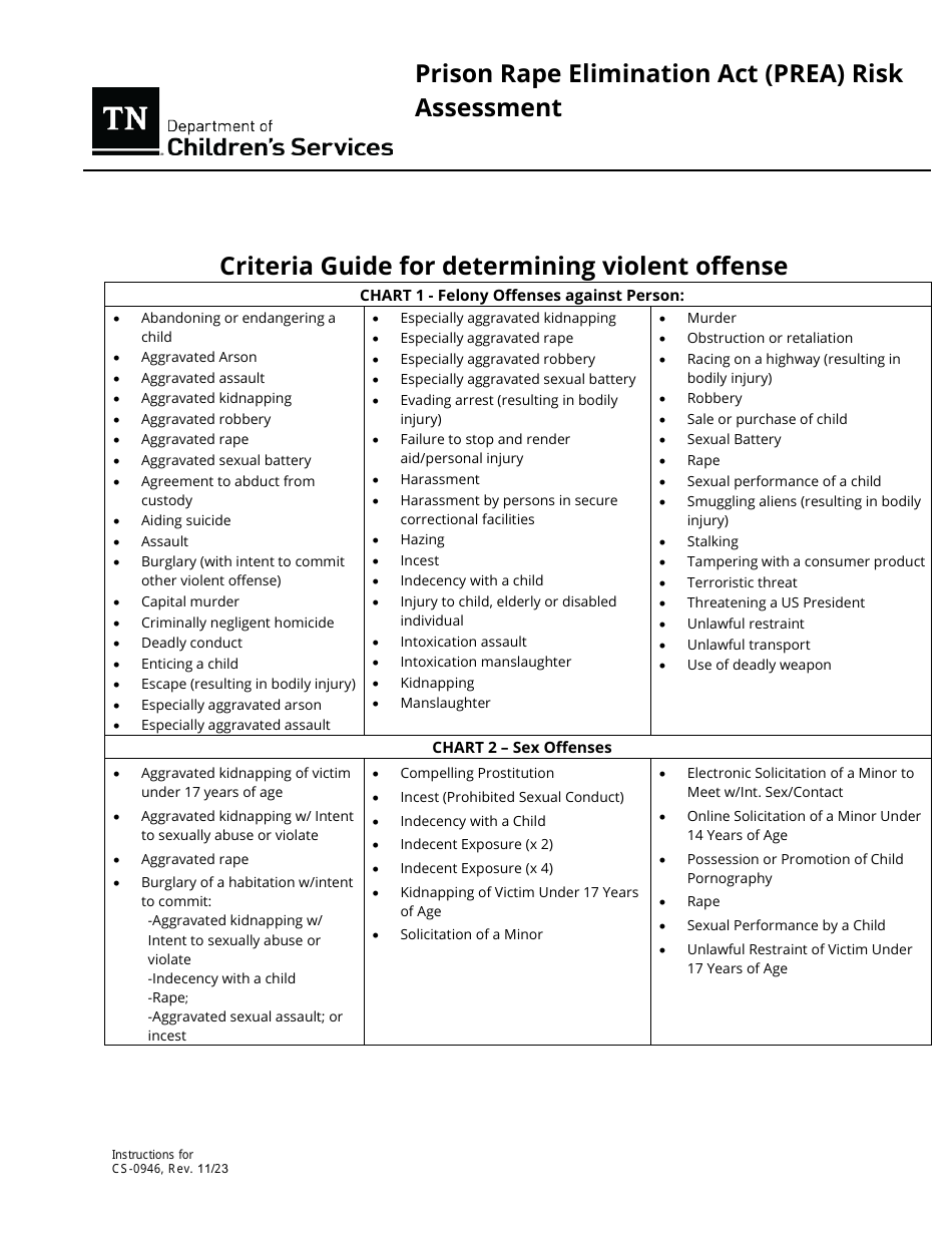 Form CS-0946 Prison Rape Elimination Act (Prea) Risk Assessment - Tennessee, Page 6