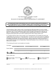 Volunteer Application - Fulton County, Georgia (United States), Page 4