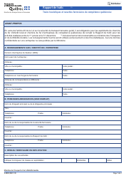 Forme V-0000 Rapport De Trafic - Trains Touristiques Et Navettes Ferroviaires De Competence Quebecoise - Quebec, Canada (French)