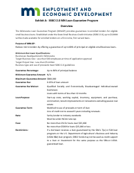 Depository Financial Institutions - Ssbci 2.0 Minnesota Loan Guarantee Program (Mnlgp) - Minnesota, Page 4