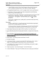 Annual Fee Statement Instructions - Oregon, Page 3