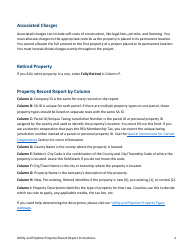 Utility and Pipeline Property Record Report Instructions - Minnesota, Page 2