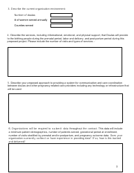 Attachment 1 Rfa Doula Services Pilot Application Form - Tennessee, Page 3