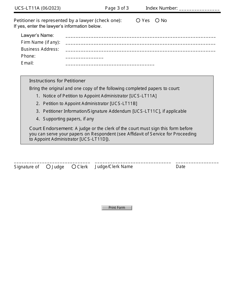Form UCS-LT11A Notice of Petition to Appoint Administrator - New York, Page 3