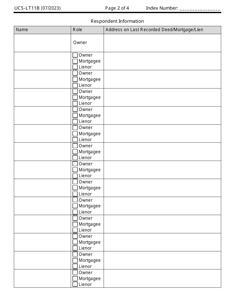 Form UCS-LT11B Petition to Appoint Administrator - New York, Page 2