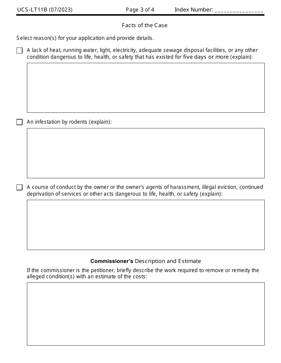Form UCS-LT11B Petition to Appoint Administrator - New York, Page 3