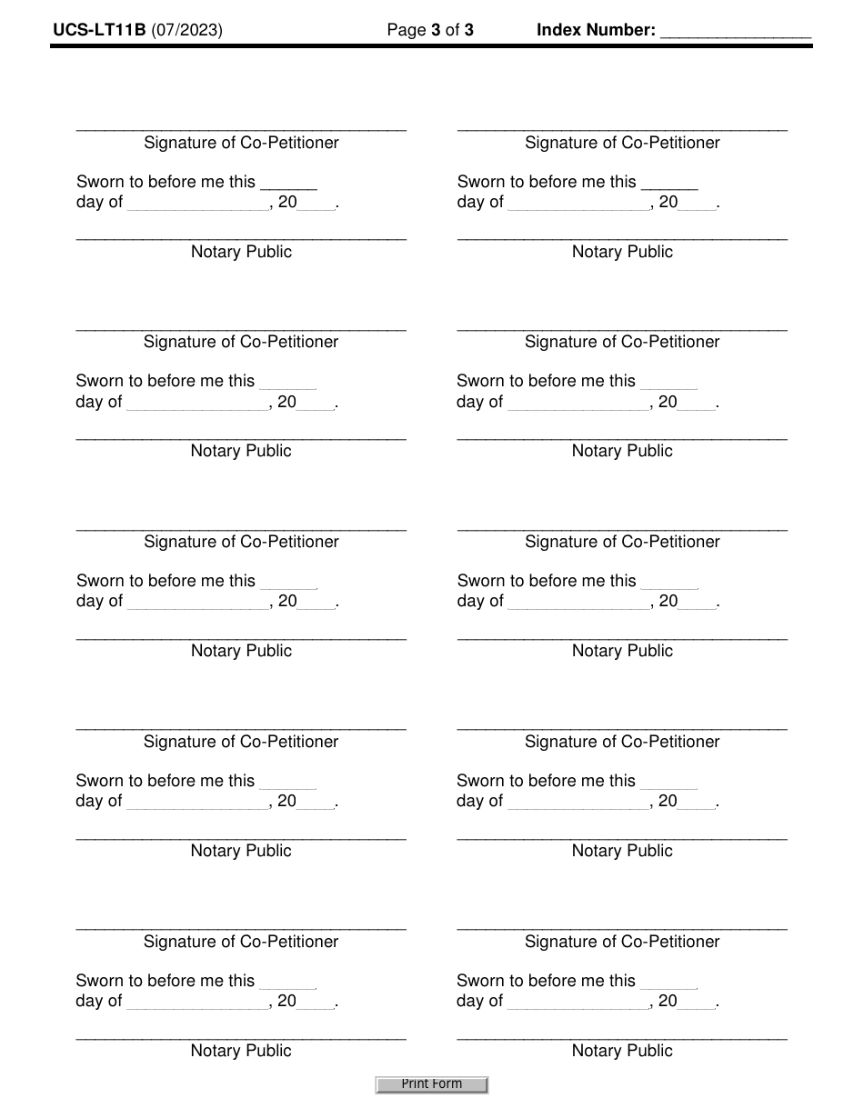 Form UCS-LT11C Petitioner Information / Signature Addendum - New York, Page 3