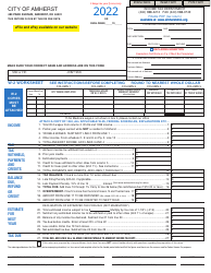 Document preview: Income Tax Form - City of Amherst, Ohio