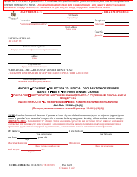 Form CC-DR-124BLR Minor&#039;s Consent/Objection to Judicial Declaration of Gender Identity With/Without a Name Change - Maryland (English/Russian)