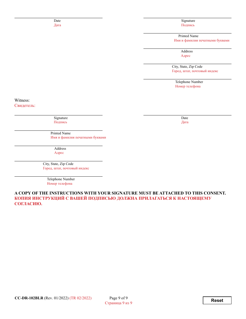 Form CC-DR-102BLR Consent of Parent to an Independent Adoption Without Termination of Parental Rights - Maryland (English / Russian), Page 9