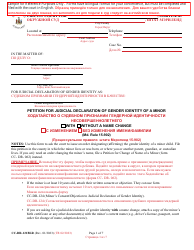 Document preview: Form CC-DR-121BLR Petition for Judicial Declaration of Gender Identity of a Minor - Maryland (English/Russian)