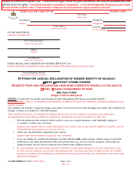 Document preview: Form CC-DR-120BLF Petition for Judicial Declaration of Gender Identity of an Adult - Maryland (English/French)