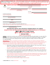 Document preview: Form CC-DR-121BLF Petition for Judicial Declaration of Gender Identity of a Minor - Maryland (English/French)