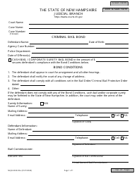 Document preview: Form NHJB-2335-DSE Criminal Bail Bond - New Hampshire
