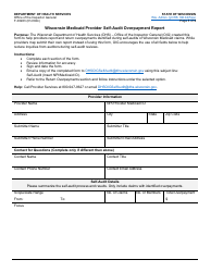 Document preview: Form F-03263 Wisconsin Medicaid Provider Self-audit Overpayment Report - Wisconsin