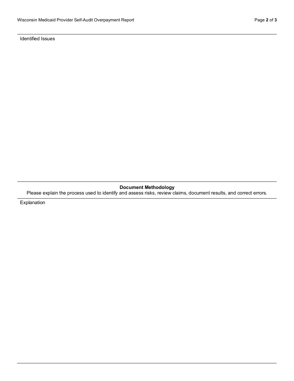Form F-03263 Wisconsin Medicaid Provider Self-audit Overpayment Report - Wisconsin, Page 2