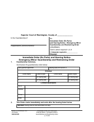 Form GDN M205 Immediate Order (Ex Parte) and Hearing Notice - Emergency Minor Guardianship and Restraining Order - Washington