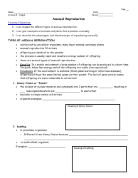 Document preview: Asexual Reproduction Worksheet - 8th Grade, Mrs. Hagan, Washingtonville Middle School