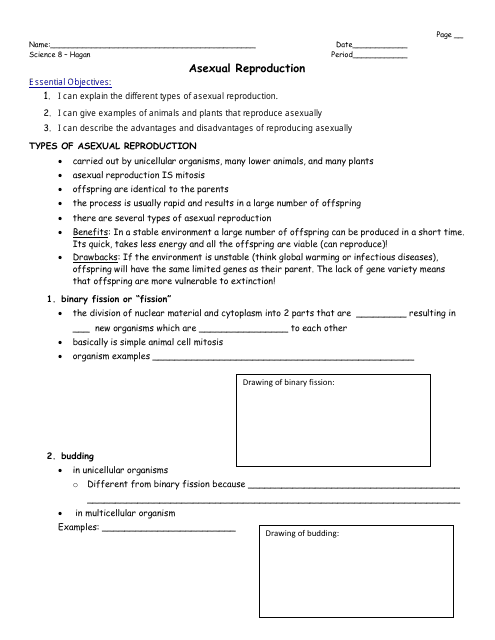 Asexual Reproduction Worksheet - 8th Grade, Mrs. Hagan, Washingtonville Middle School