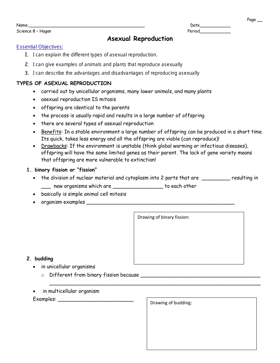 Asexual Reproduction Worksheet 8th Grade Mrs Hagan Washingtonville
